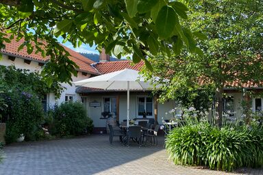 Ferienwohnung Weingut Sturm - Ferienwohnung