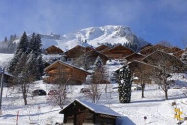 Chalet Iris, appartement N°6, (Champoussin), - Chalet Iris, appartement N°6, (Champoussin), .1