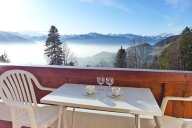 Les Girolles B14 - Les Girolles B14 .2