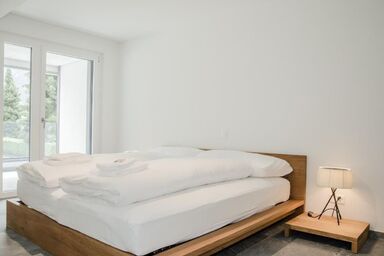 Apartment JungfrauCenter Schynige Platte - Apartment JungfrauCenter Schynige Platte .1