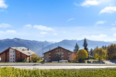 Marigny Dent-Blanche 25 - Marigny Dent-Blanche 9-8 .1