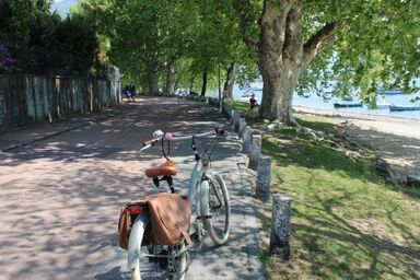 Wohnung mit blühender Terrasse, seenah - Wohnung mit blühender Terrasse, seenah .1