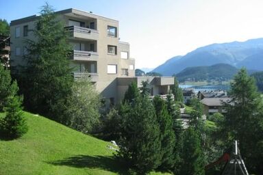 Chavallera 42 - Chavallera 42 .1