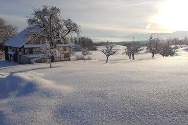Historisches Riegel-Doppelbauernhaus - Historisches Riegel-Doppelbauernhaus .1