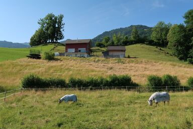 Luxenweid - Luxenweid .1