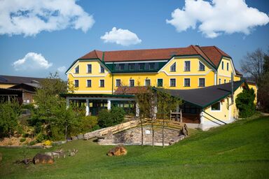 Kerndlerhof - Zimmer "Wagen"