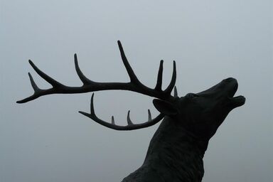 The Burg Boutique - Apartement "Hirsch" mit 3 Schlafzimmer