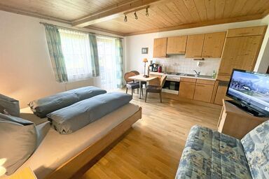 Stillinghof - Apartment "Hochkönig"/Wohn-Schlafraum/Dusche, WC