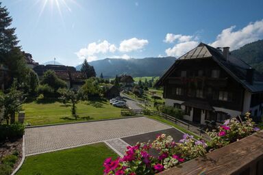 Binder, Haus - Appartement Bergblick ( 2 Personen)