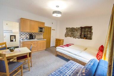 SKI-N-LAKE City Apartments - STONE