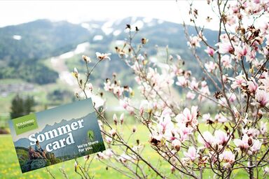 Gästehaus Erika by myNests - Gartenlodge Hauser Kaibling