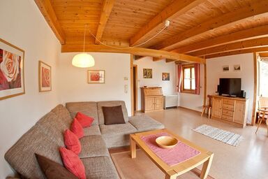 Ferienhaus im Feriendorf Reichenbach (B13a) - Modernes Holzhaus mit großer Südterrasse (B13a)