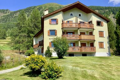 Chesa Auricula 4 Aden ÖV inklusive