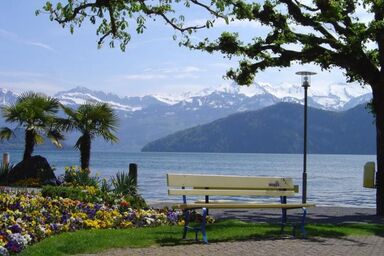 Studio "Rubi" Weggis