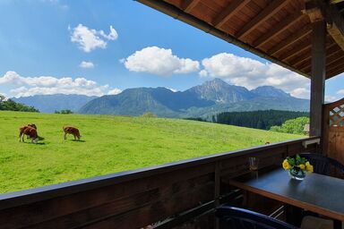 Fuchsbauernhof - Ferienwohnung Predigtstuhl 37 qm, 1 Schlafzimmer, Wohnküche, Balkon