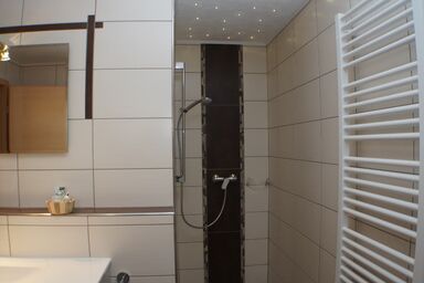 Bio-Erlebnisbauernhof Doll - Haflingerhof - Sonnenblume