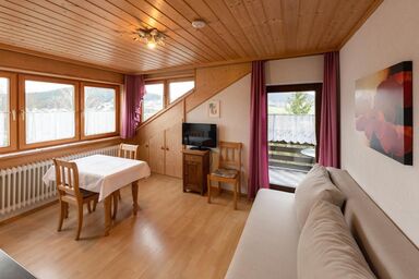 Fewo / Pension Fremuth - Ferienwohnung  1 Arber