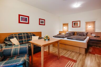 Haus Birgit - Ein-Raum-Appartement mit Balkon (3)