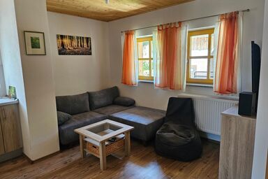 Kräuterhof - Glockenblume