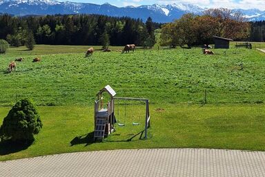 Druckerhof - Alpenblick