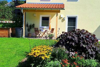 Appartement Helga - Appartement (26qm) mit Terrasse (Appartement Helga)
