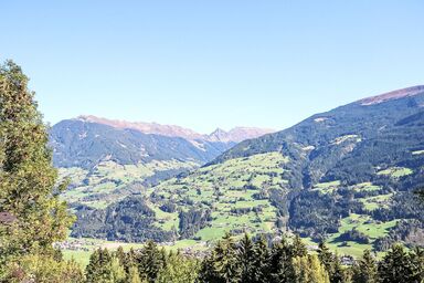 Dornauer - Dornauer .1