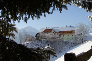 Waldpension in Steinfeld - Waldpension in Steinfeld .1