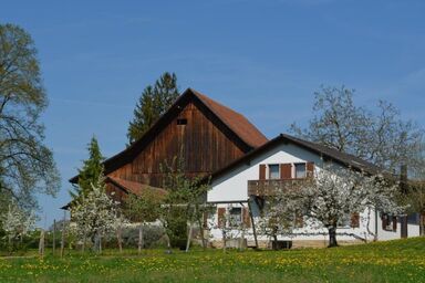 Wohnung "Bellevue" - Wohnung "Bellevue" .1