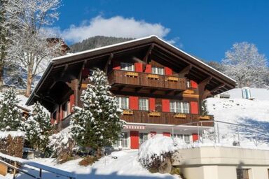 Eigergrat 2 Bett Wohnung - Eigergrat 2 Bett Wohnung .1