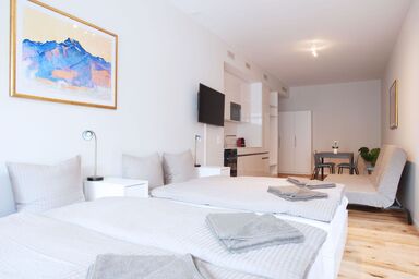 BS Hodler III - Marktplatz HITrental Apartment - BS Hodler III - Marktplatz HITrental Apartment .1