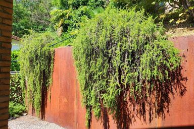 Casa Gorlino - Casa Gorlino .1