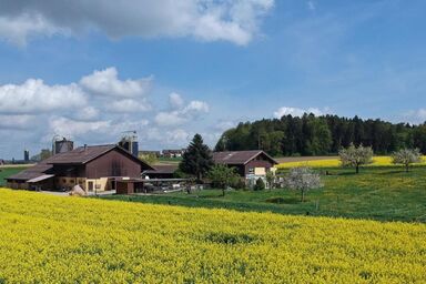 Haslers Hof - Haslers Hof .1