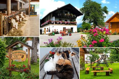 Ferienhof Kandler - Ferienhaus - für euch alleine