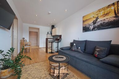 Panorama Appartement Filzerhof - Appartement Rettenstein