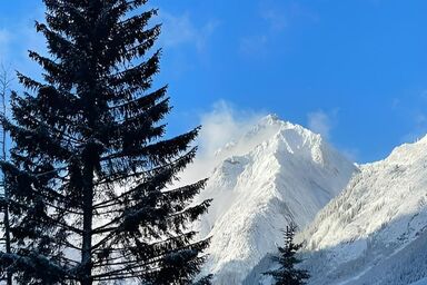 Viva Apartments - Ferienwohnung Wetterstein