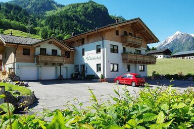 Appartement Wälderhof - Appartement mit 1 Schlafraum