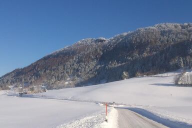 Landhaus Götze - Grünten