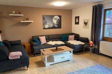 Ferienwohnungen im Feriendorf Reichenbach (Nr. 11A) - 11A-1 - moderne Fewo für 4 Personen, Terrasse mit Bergblick