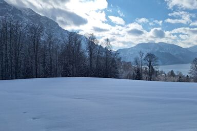 Attersee Panorama Apartments - Ferienwohnung 5 - Hauszwetschke