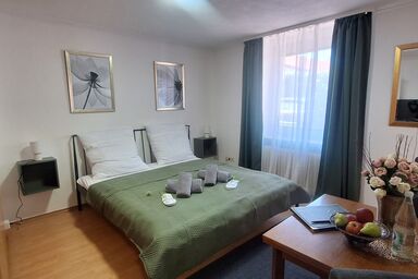 Gästehaus Mittmann 1 Raum Apartment oh. Balkon