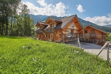 DreiHittn - Murmeltier