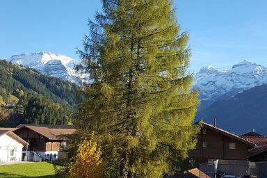 Oberriedstrasse 5 2-Bettwohnung