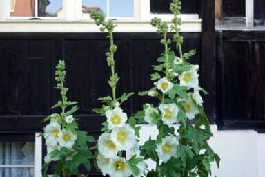 Ferien in der Vogelherd