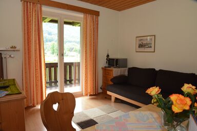 Ferienwohnungen Haus Monika - Nr.3 Ferienwohnung 50 qm mit einem separaten Schlafzimmer, Wohnküche, Süd/Westbalkon