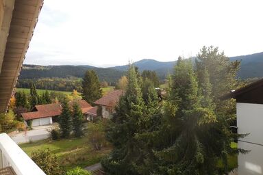 Ferienhaus Wellisch - FeWo  2, Zirbe, 100 qm mit Wohnzimmer