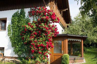 Fewo Konstandin - FeWo 1