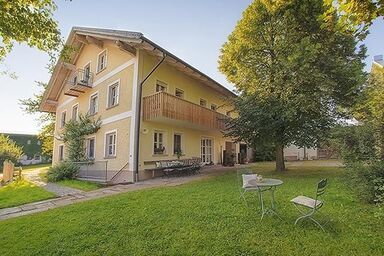 FrongaHOF - Lavendel