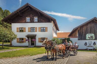 Bayerwald-Ferienhof Schmid - Vogelnesterl
