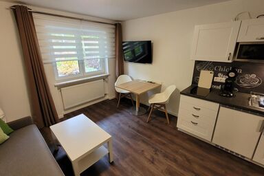 BayVista, die Bayerwald Lodge - Studio (4)
