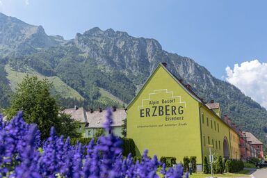 Superior mit IR-Sauna - Superior mit IR-Sauna .51